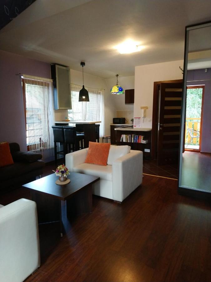 זקופאנה Apartament Glamour I מראה חיצוני תמונה