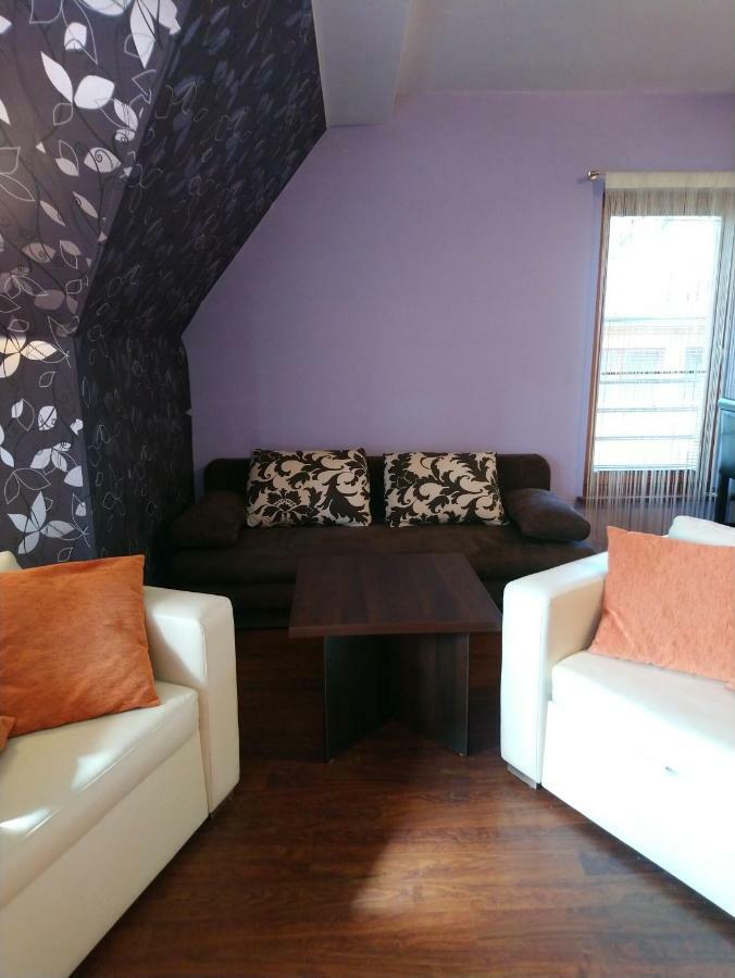 זקופאנה Apartament Glamour I מראה חיצוני תמונה