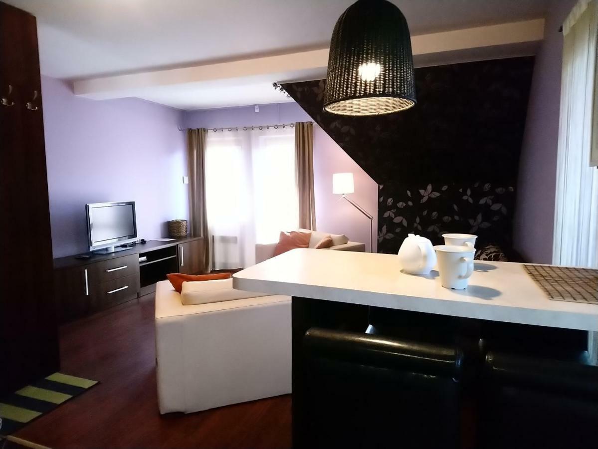 זקופאנה Apartament Glamour I מראה חיצוני תמונה