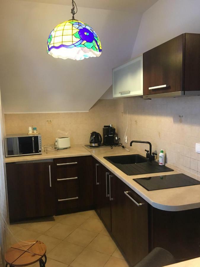 זקופאנה Apartament Glamour I מראה חיצוני תמונה